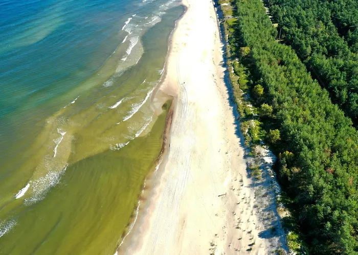 Prywatny W Stegnie Na Ulicy Brzozowej 6 Na I Pietrze *