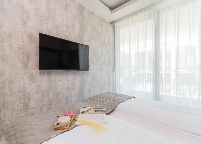 Prywatny W Stegnie Na Ulicy Brzozowej 6 Na I Pietrze